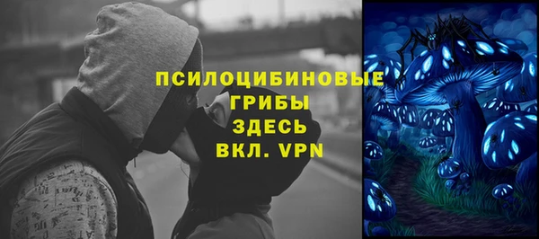 MDMA Premium VHQ Белокуриха
