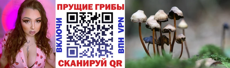 hydra зеркало  Кораблино  Галлюциногенные грибы ЛСД 